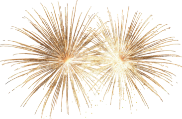 Golden Fireworks Display Against Black Background