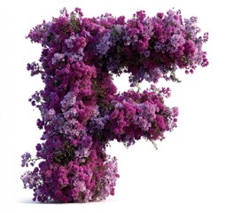 Capital letter F formed from vibrant purple and lavender bougainvillea flowers, isolated on white