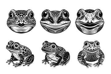 Beautiful and playful Frog