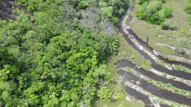 Drone footage of cap ternay mangrove, Mahe Seychelles 30fps 9