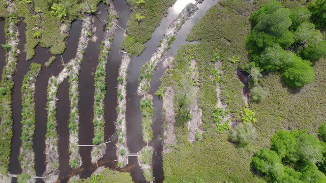 Side way drone footage of cap ternay mangrove, Mahe Seychelles 30fps 2
