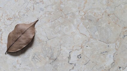 A large, brown, dried leaf with a visible stem rests on a textured, light-colored marble surface....
