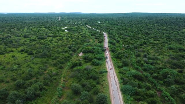 Aerial view of vehicle traffic passing through dense forest in dholpur rajasthan of india