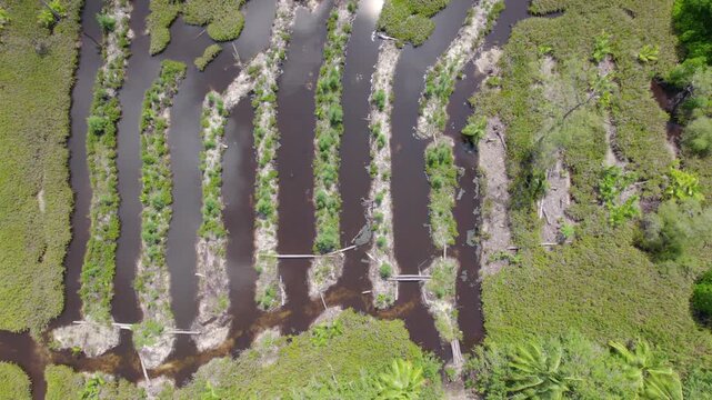 Drone footage of cap ternay mangrove, clouds reflection in water, Mahe Seychelles 30fps 3
