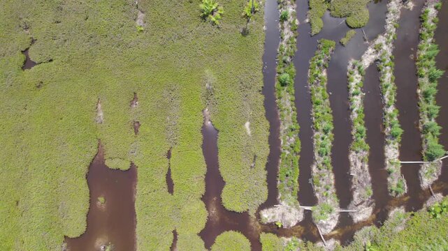 side way drone footage of cap ternay mangrove, Mahe Seychelles 30fps 4.