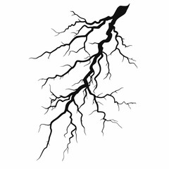 Striking dry tree branches on a plain background forming a stark silhouette