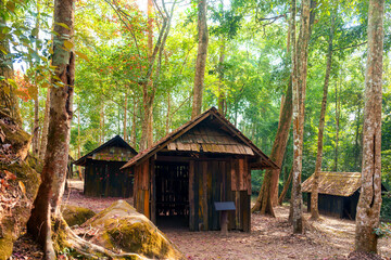 Beautiful view of weathered wooden hut with red maple leaves in tropical rainforest at national...