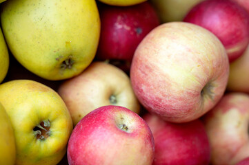 Many red and yellow apples close up. Close up of fresh red and yellow apples.