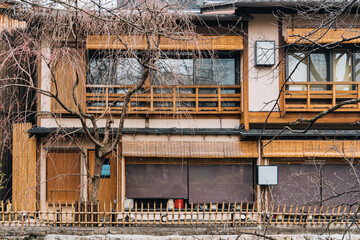 Front view of traditional machiya japanese style wooden building with bamboo blinds, wooden frames, smell fence and sakura tree in Kyoto, Japan