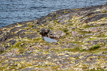 A rugged rock formation by the ocean features a small pool of water reflecting the landscape. The area is covered with moss and scattered vegetation, showcasing nature's beauty.