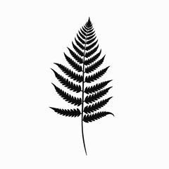 Naklejka premium Symmetrical fern frond presenting a botanical natural plant black isolated silhouette