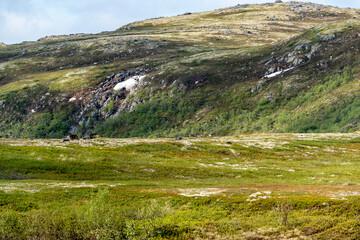 Bright snow contrast with lush green grass on a hillside in Norway, showcasing the beauty of nature...