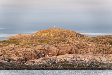 A large group of seabirds gathers on the rugged rocks along the coastal shoreline at twilight. The...