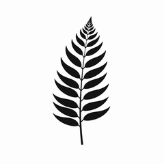 Fototapeta premium Minimalist dark fern frond isolated on white background silhouette