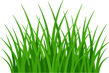 Fototapeta premium Lush Green Grass Blade Cluster Lawn Nature Background