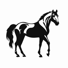 Obraz premium Powerful equine form in dramatic black and white stallion horse silhouette