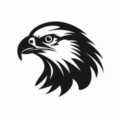 Obraz premium Majestic eagle head detailed illustration in black and white artistic silhouette