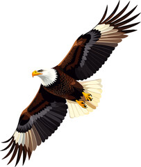 Obraz premium Bald Eagle Flying Wings Spread Wildlife Bird Of Prey