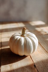Beautiful fall pumpkins, fall background, pumpkin, aesthetic, instagrammable, beautiful fall photo. For social media posts