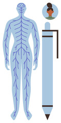 Human body outline displaying blue nervous system paths, pen for writing or research, and profile avatar. Ideal for healthcare, biology, neuroscience, education, anatomy, learning medical studies