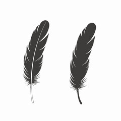 Fototapeta premium Two feathers floating elegantly in a monochrome detailed illustration silhouette