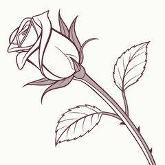 Elegant single rose with leaves and thorns depicted in a simple line art style with muted coloring