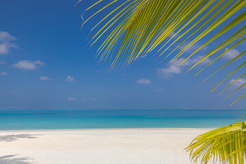 Obraz premium Tranquil tropical palm leaf over calm turquoise sea horizon sky clouds idyllic summer vacation stunning background exotic beach paradise scenic coastal landscape sunny serene tropical island getaway