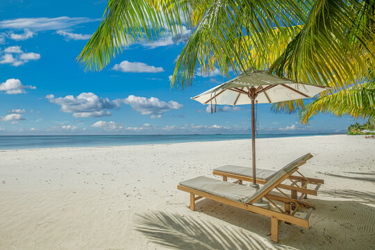 Peaceful summer sunny landscape with beach chairs and umbrella under tropical palm leaves, stunning luxury vacation scenery, relaxing ocean view, exotic travel destination, perfect tropical getaway ba - Powered by Adobe
