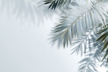 Light gray background with palm fronds and cast shadows
