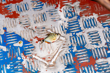 Ein kleiner gefangener Fisch liegt auf dem abgenutzten Boden eines Fischerbootes piranha