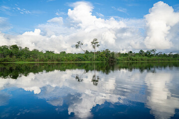 Eine weite Landschaft im Amazonas Regenwald mit der Spiegelung von Wolken und Bäumen im See
