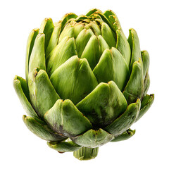 Obraz premium Artichoke png 