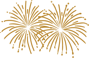 Two Golden Fireworks Burst on Black Background