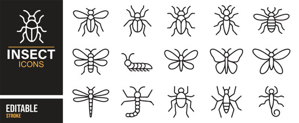 Outline insect vector pack – butterfly, worm, beetle, bee, and bug designs