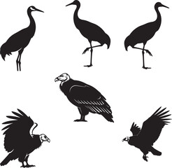 set of birds silhouettes