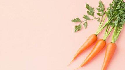 Fresh carrot trio on pastel background for healthy eating and design concepts