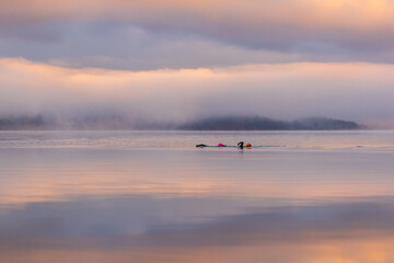 Open water swimmers at dawn, swimming in Windermere under a a temperature inversion.