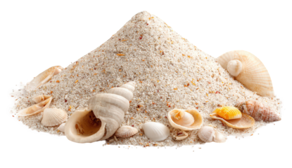 White Sand Pile with Seashells on Transparent Background
