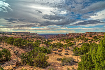 Canyonlands National Park , landscape, Utah USA