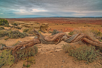 Canyonlands National Park , landscape, Utah USA