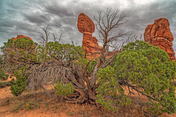 Canyonlands National Park , landscape, Utah USA