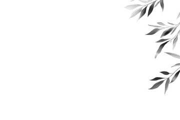 Grayscale Leaf Silhouette on Black Background