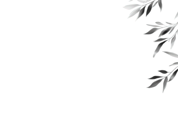 Grayscale Leaf Silhouette on Black Background