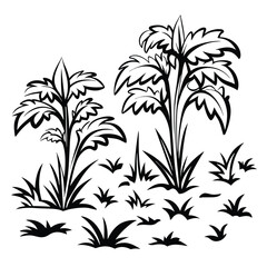 Black Silhouette of Tropical Plants & Grass Isolated on a White Background
