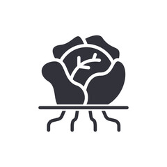 Conceptual Depiction Of A Cabbage With Root Structure In Minimalist Illustration Style