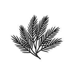 A detailed black and white sketch of a fir tree branch with many fine needles on a white background