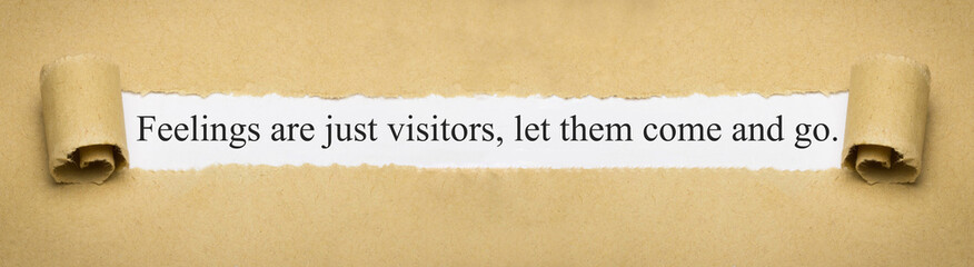 Feelings are just visitors, let them come and go.