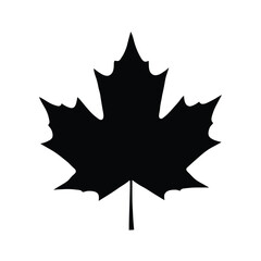 Fototapeta premium Simple black silhouette of a maple leaf with a white background representing canada and autumn