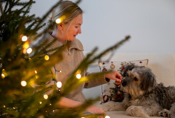 Woman decorating Christmas tree with lights while dog resting on sofa indoors