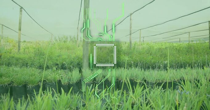 White reticle appearing, scanning neon circuits growing over saplings in black pots for monitoring